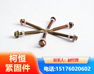 嘉兴六角钻尾丝
